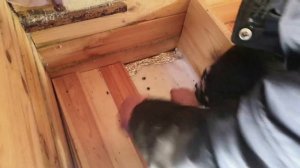 Кормление пчел зимой  Зимовка пчел на улице  Зимовка пчел в апидомике  Зимовка пчел в зимовнике