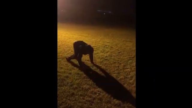 всего при желании можно добиться, главное не падать духом! смотреть онлайн