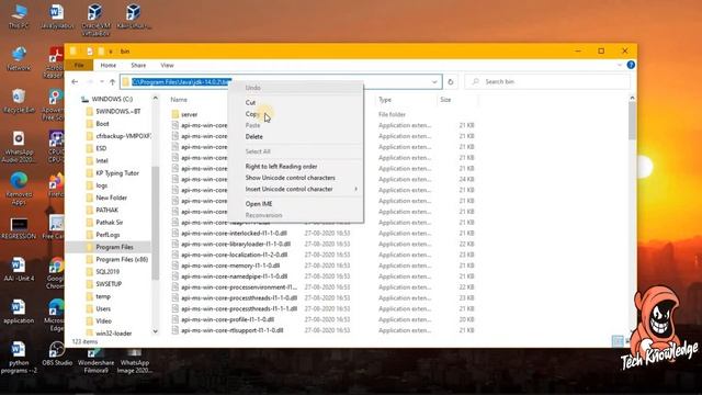 How to install Java in Window operating system || Full Explanation ||Step by Step || Tech knowledge смотреть онлайн