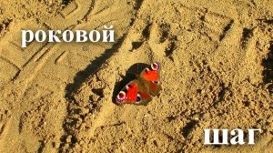 Бредбери Р. И грянул гром