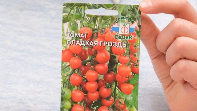 Как выбрать семена томатов для открытого грунта и теплицы. смотреть онлайн