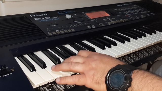 1999 EFSANE ROLAND M50 ADINI DAĞLARA YAZDIM DEMO... смотреть онлайн