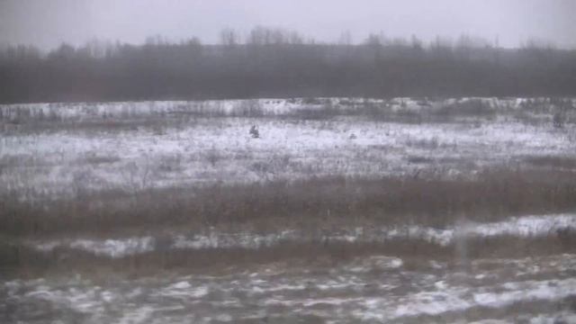 28-11-2021 от станции купчино до станции царское село на эд-4м 0409 часть-14 смотреть онлайн