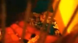 Как приручить джунгарика