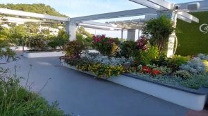 Италия.Остров Капри-гостиная мира. #италия #островкапри