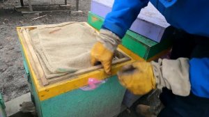 Зимняя подкормка. Как понять когда кормить пчёл