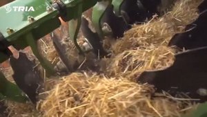 Компактные дисковые бороны AMAZONE Catros