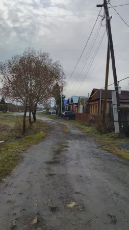 В деревеньке нашей тишь да благодать