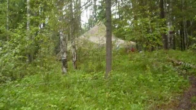 п.Ладва-Ветка смотреть онлайн