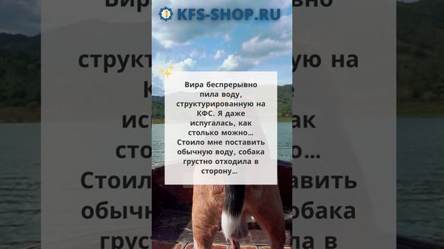 🔥Собаки Рекс и Рози и КФС №1▫️ Отзывы и результаты ▫️ КФС для животных смотреть онлайн