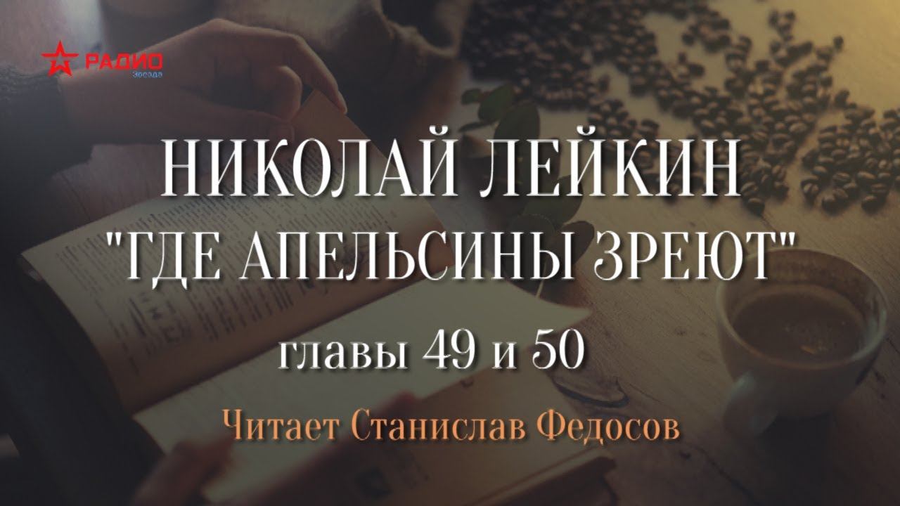 Николай Лейкин. «Где апельсины зреют». Аудиокнига. Главы 49 - 50