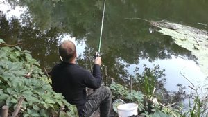 РЫБАЛКА НА ПОПЛАВОК В АВГУСТЕ НА РЕКЕ.