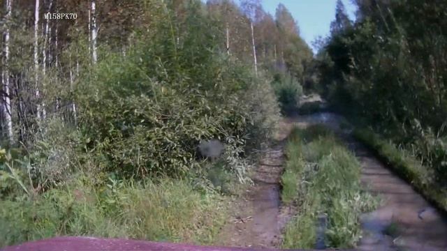 За Мурюк смотреть онлайн