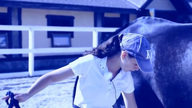 Конь чернильной масти. Песня на стихи Елены Казанцевой. Музыка, гитара, исполнение: Марк Фуксов. смотреть онлайн