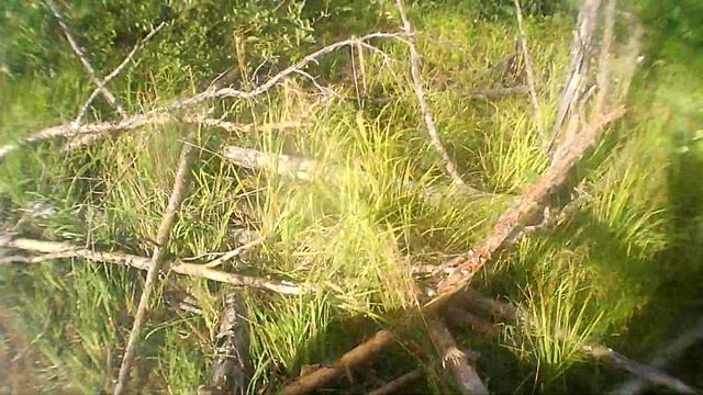 Эндуро.Болото.Грязь и утопление мотоцикла смотреть онлайн