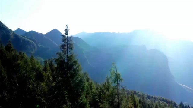 2022 LIFAN (SKYGO) KPV 150 FI | New Adventure Scooter смотреть онлайн