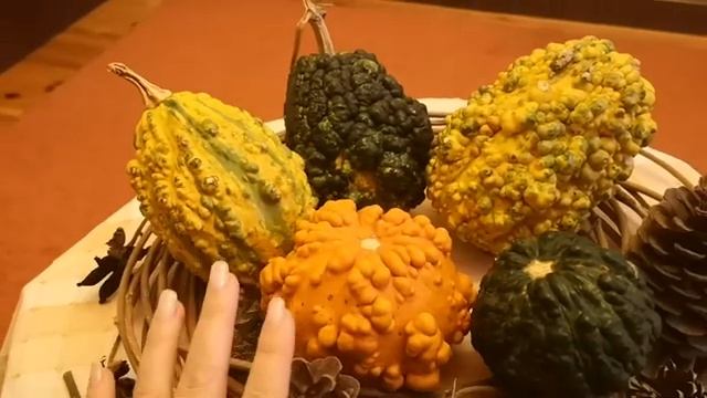 Декоративная тыква, осенний декор смотреть онлайн