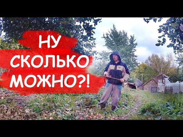 НАДОЕЛИ ТВОИ САЖЕНЦЫ | РАНЬШЕ БЫЛО ЛУЧШЕ | КОСТЯ УЖЕ НЕ ТОТ смотреть онлайн