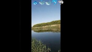 рыбалка любительская 13.06.2023