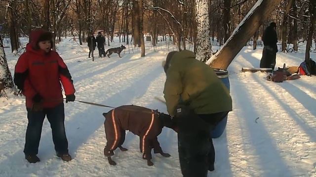 Треннировка по Рсскому Рингу в сокольниках 18 01 14г №1 смотреть онлайн