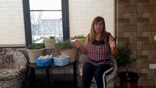 Куры клюют перья выщипывают, расклевывают яйца