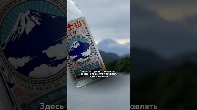 Моё самое дорогое такси в мире? 200$ из аэропорта в Токио 🫡🤯