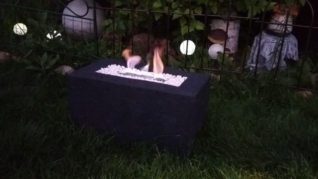 биокамин