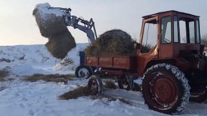Погрузка  сена  Мтз80 Т-16