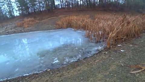 Настоящее выживание в лесу без нечего! Потерялся в Тайге Выживание в лесу зимой.