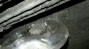 Замена резинок крепления резонатора.От "Калины"нужно попробовать ВАЗ 2115,2114,2113,2199,2109,2108