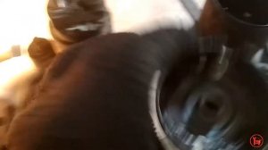 Mazda 3. Жуткий шум при пуске двигателя.
