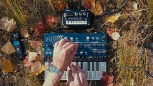 Yellow light. Arturia MicroFreak and Korg NTS-1. Dawless Ambient.