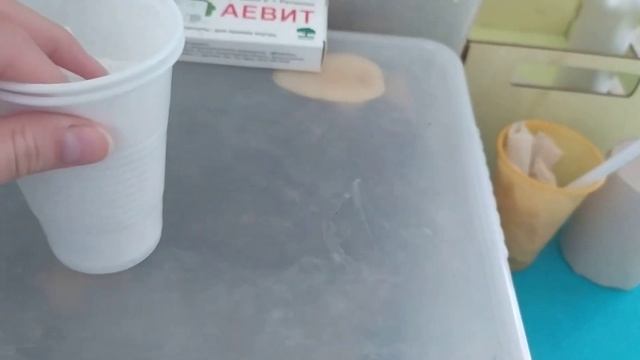 Что надо для появления улитки? Видео для начинающих улитководов смотреть онлайн