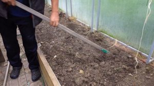 В сентябре на огороде самое время посадить не только редис!