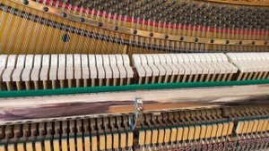 Пианино Зайлер после 2 лет эксплуатации,  клавиатурный люфт абсолютно не изменился,