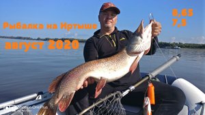 Рыбалка на Иртыше 2020. Новые рекорды!