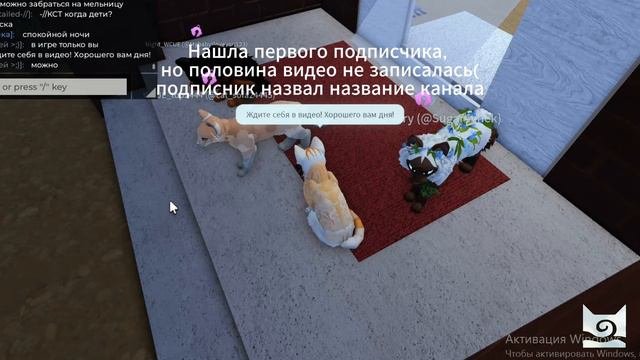Соц. видео