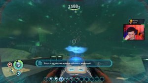 Subnautica #24 = Морской император, фермент для излечения, стеблеглаз, клубнекуст, водоросли и гриб