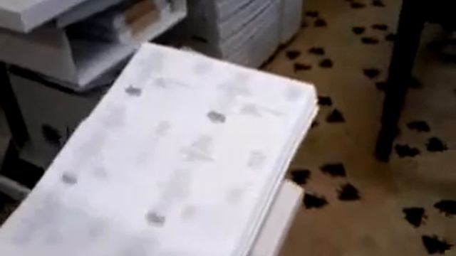 Printing & addressing Direct Mail - Printing & Mailing Company Lexington, SC смотреть онлайн