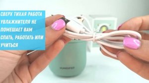 Увлажнитель воздуха 300 мл Аромадиффузор Полосатый Котик Humidifier