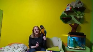 Воспитание большого попугая: дополнение / как отучить кусаться попугая: содержание большого попугая