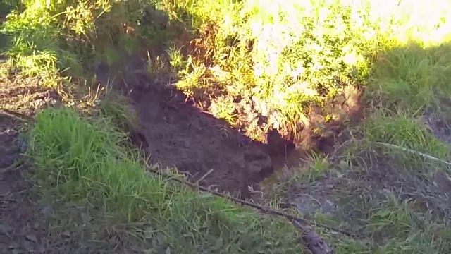 Чистка пруда от ила смотреть онлайн