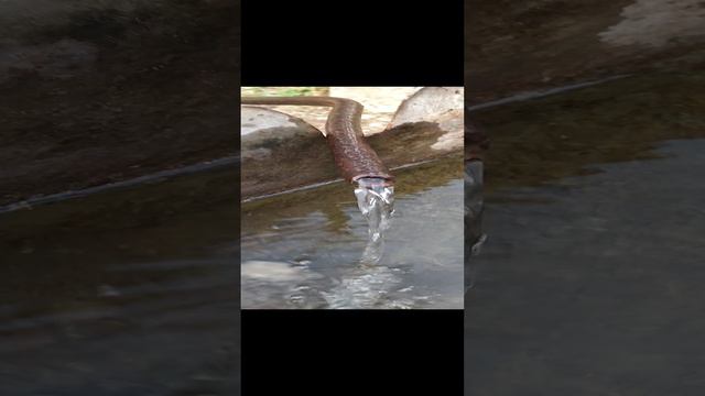 элистанжи родниковая вода