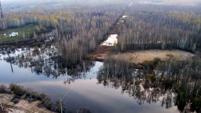 Novosibirsk Region Новосибирская область Северный район