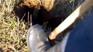 поиск метеоритов металоискателем