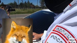 Забрали Паспорт, Угрожали 19.3, Выкинули Постановление. ДПС Краснодарского края