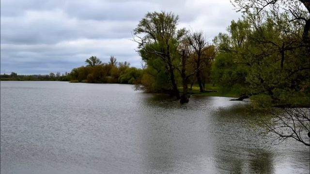 Лодочка плыви смотреть онлайн