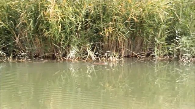 Рыбацкое счастье смотреть онлайн