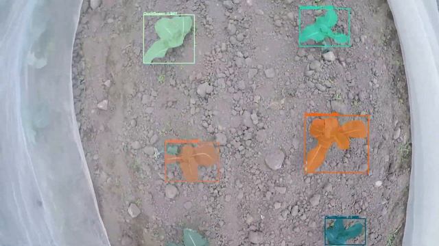 Automatic Crop Detection Using Mask R-CNN смотреть онлайн