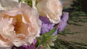 СОЧЕТАНИЯ...Розы Санта Барбара, Иоганн Штраус, компаньоны